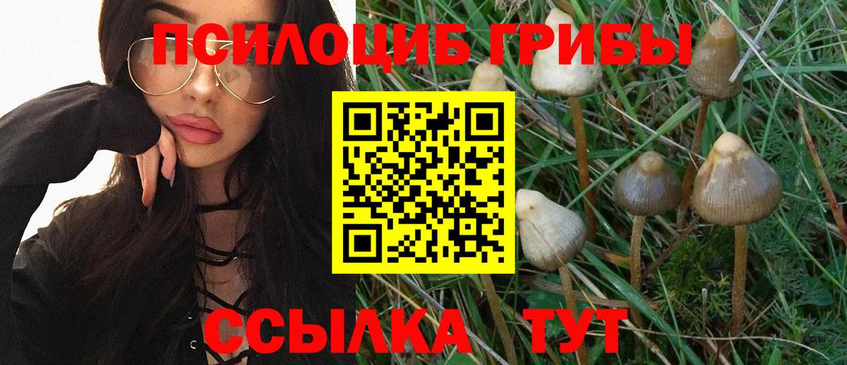 Ковров  Псилоцибиновые грибы мицелий  Вход с VPN 